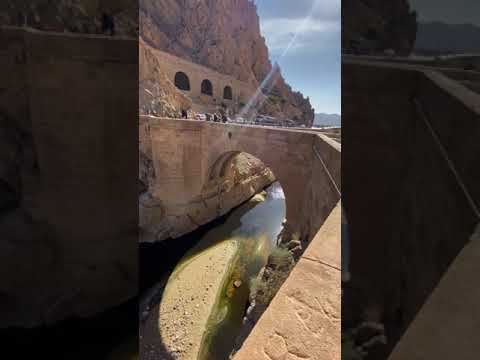 بسكرة بلاد النخلة عمرها لا تخلا