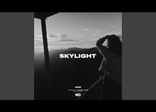  Skylight