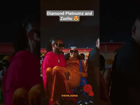 Diamond Platnumz And Zuchu Love Diamondplatnumz Zuchu Wasafi Heisjona Love