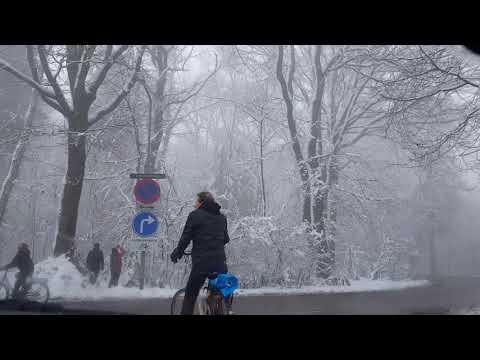 بشعر حبيبي في فرح في الجو أصالة