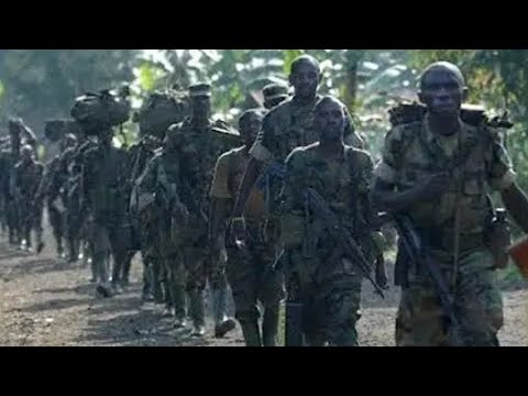 URGENT 29 03 26 NORTH KIVU IS EMPTYING OF M23 PRESSURE INCREASING HERE ARE THE LIBERATED LOCAL