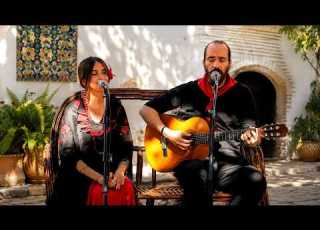  Alif HARF Live Session Official Music Video 2025