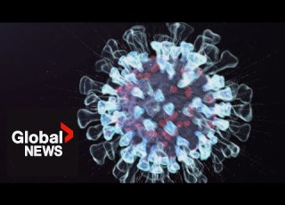  This H3N2 Flu Strain Is Spreading Rapidly In Canada Why Subclade K Is Hitting Hard
