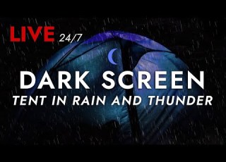  Tent In Heavy Rain And Strong Thunder Sounds For Sleeping Dark Screen Deep Sleep Sounds Live