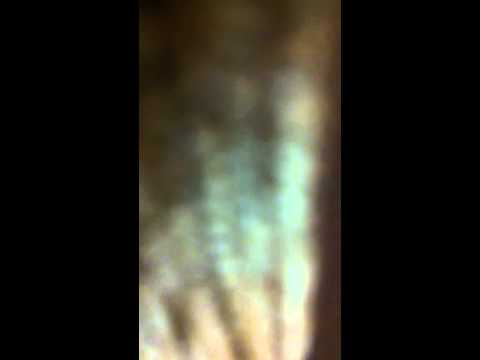 كلمات مزلزلة للحوثيين من أرض دماج