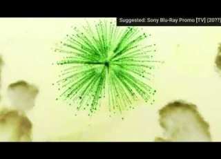  Disney Blu Ray 3D Logo 2010 Present In G Major