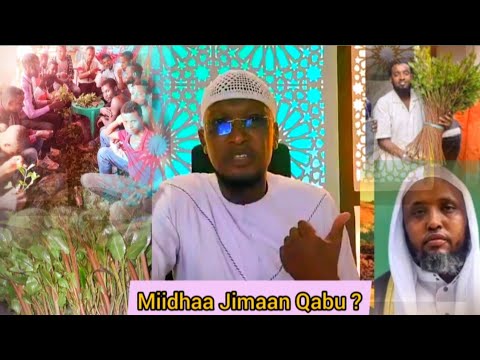 Miidhaa Jimaan Qabu 1ffaa Bultii Diigee Jira By Sheihk Anawar Yusuf