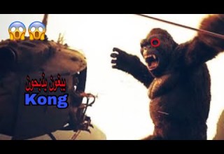 شيلات افلام 11 محاولة قتل Kong لكن شوف وش صار حماسس 