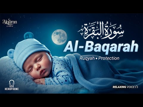Surah Al Baqarah سورة البقرة Lofi Quran Peaceful Heart Recitation By Alaq Aqel