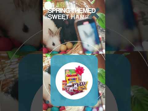 Gift Guide 2026 Spring Gifting Moments Easter Shorts