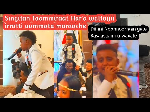 Singitan Har A Waltajjii Irratti Uummata Maraache Diinni Noonnoorraan Gale Rasaasaan Nu Waxale