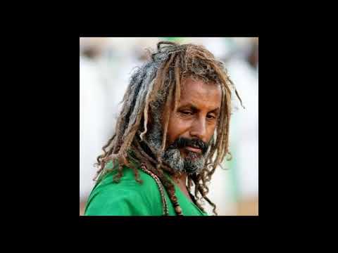 الشيخ التوم