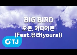  TJ노래방 BIG BIRD 오존 카더가든 Feat 유라 Youra TJ Karaoke