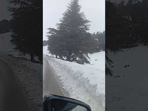 Road Between Hajirat And Azrou Today 04 01 2026 Visitmaroc Morocco Explore Trend Myphoto