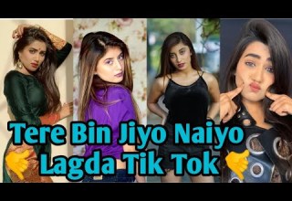 Tere Bin Jiyo Naiyo Lagda Tik Tok Video Sound Oggyyyy Remix Song Tik Tok Video