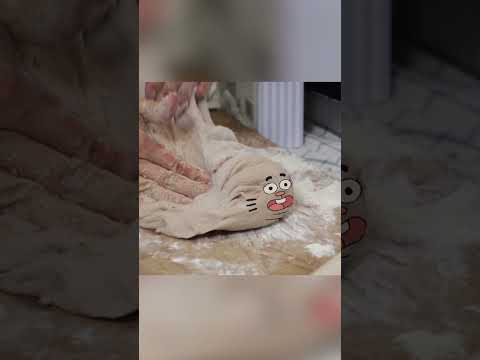 أنا عجين غامبول كرتون نتورك