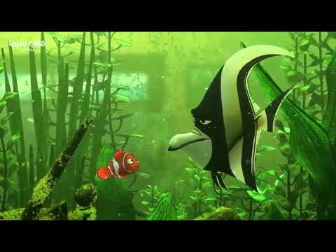 شايف القذارة شوفت عامله ازاي تقرف منتهى القرف وكل دا بفضلك يبنى حققت امنيتنا نيمو شايف القذارة شوفت عامله ازاي تقرف منتهى القرف وكل دا بفضلك يبنى حققت امنيتنا نيمو