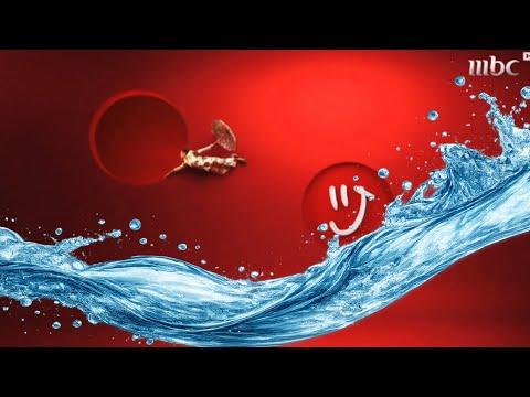 MBC ONE New Redesign Idents And Showtimes