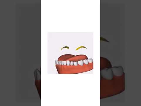 مخارج الحروف مخرج حرف الياء ثلاثي الأبعاد الشيخ أيمن السويد Aymen Swed