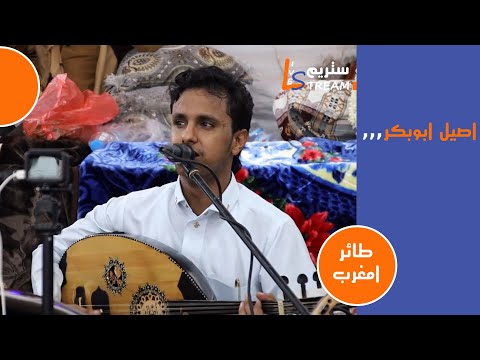 اصيل ابوبكر طائر امغرب عرس نشوان دير الزين لايف ستريم للانتاج التلفزيوني اصيل ابوبكر طائر امغرب عرس نشوان دير الزين لايف ستريم للانتاج التلفزيوني