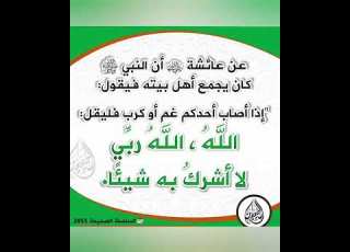 الحديث الله الله ربي لا اشرك به شيئا