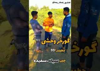 اهنگ چلیم چلیم پا چلیم اهواز تحشيش عراقي جوک خنده دار نکت تحشيش السوس خنده دار