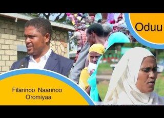 Filannoo Naannoo Oromiyaa