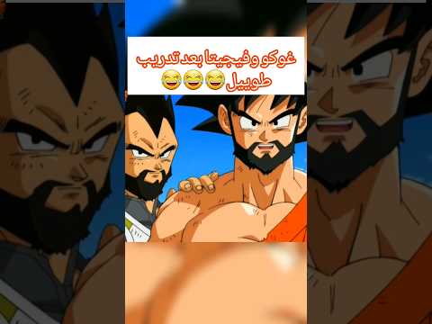 غوكو و فيجيتا بعد تدريب طوييل أنمي انمي دراغون بول زد