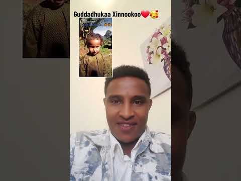 SOLOMON ALEMU Faarfaannaa Afaan Oromoo Haaraa 2023 Worship Shorts SOLOMON ALEMU Faarfaannaa Afaan Oromoo Haaraa 2023 Worship Shorts