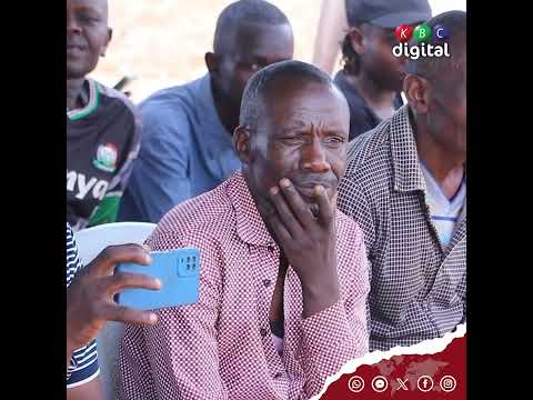 Meru County Commissioner Orders Removal Of Camels That Have Invaded Igembe And Tigania