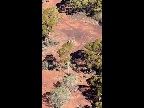 Missing Gold Prospector Greeted By Police Rescue