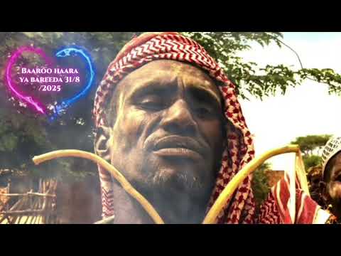 Baaroo Haaraya Jamaal Saanii 31 8 2025