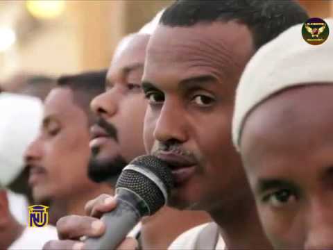 أولاد الشيخ البرعي الاوائل قصيدة سلام سلام عليكم يدوم و حلقة ذكر أولاد الشيخ قريب الله