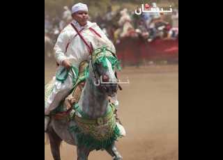  أصغر جزار فالمغرب طلع كيتبورد في موسم ركراكة في حد الدرا بإقليم الصويرة
