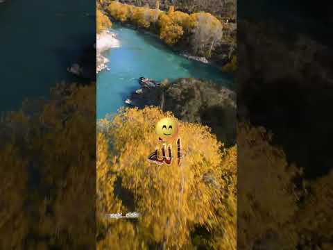 تليفون منك لما يجيني