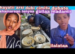 Hayatii Arsii Dhugaa Jiruu Dubatee Kuni Shamaraan Tenyaa Biyaa Arabaa Hundafii Damasaa Gudadhaa