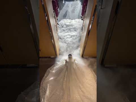 اروع لحظة دخول العروس كأنها من عالم آخر