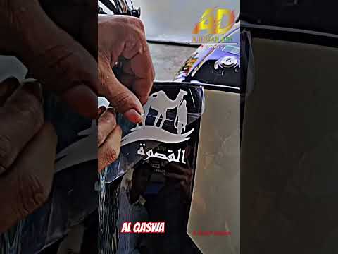 Al Qaswa Hamare Nabi Sab Ki Sawari Naam Tha Nabimuhammad Alqaswa Muslim Shorts Stiker