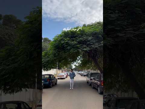 وكفايه إني أمي وحبيبتي تبقى مصر خالد الصيفي بهاء سلطان محمود العسيلي هفضل كل مره اجيلك