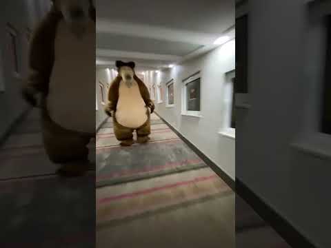 Bear Chases Person Down Hall Original