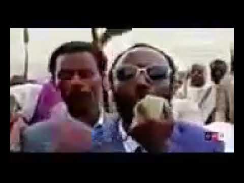 Dhaamsa Jaal Nadhii Gammadaa