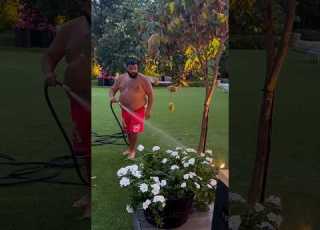 Let S Watering DJ Khaled Best Lifestyle Djkhaled Shorts