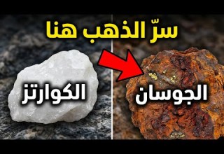 لا تبحث عن الكوارتز فقط هذه الصخور هي الدليل الحقيقي على الذهب