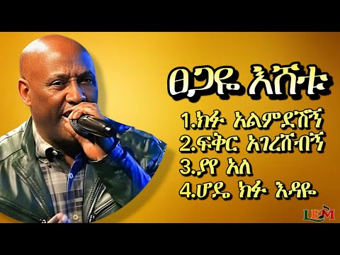 ፀጋዬ እሸቱ ምርጥ ዘፈኖች ስብስብ Tsegaye Eshetu Best Songs Collection Old Ethiopian Music Mix Tsegaye
