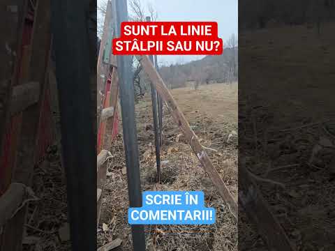 SUNT LA LINIE STÂLPII SAU NU