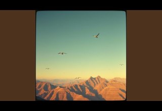 كل نفس دائقة الموت