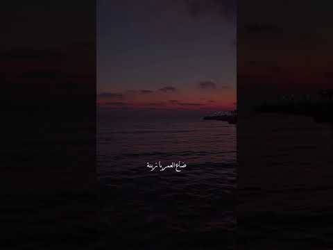 بروح بمنامي بنادي بحروبي كلامك ناري الشامي حالات واتس بعرف كلشي عن اللي دار يلي دار الشامي