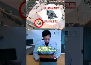  マーメイドラグーンの屋上に植えられた不可解な 3本の木 を設備のプロが考察 ディズニー ディズニーシー ディズニーランド リトルマーメイド 設備屋 建築