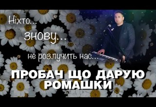 Ти пробач мені що дарую знову ті білі ромашки Влад Комар