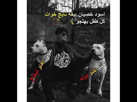 اسود خصيان سينكح بنات الشيوخ واخت ابن الزرباويه اخو هديل